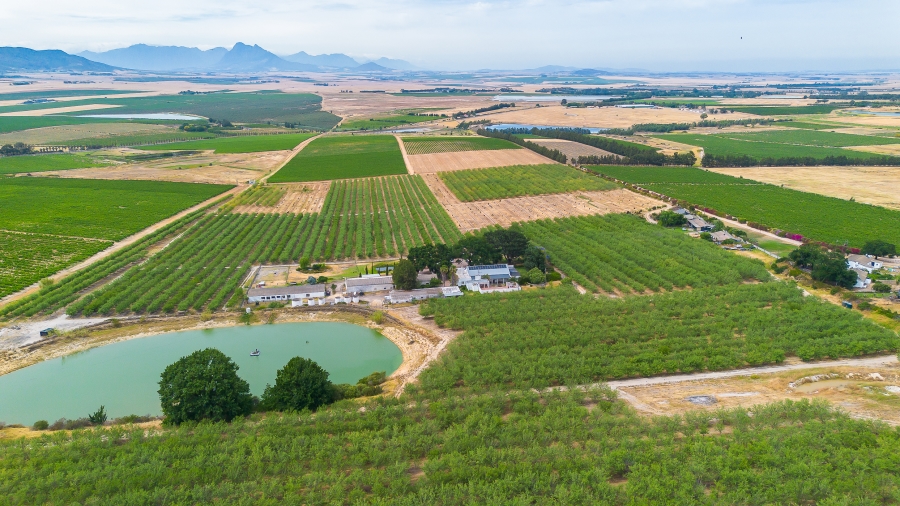 4 Bedroom Property for Sale in Paarl Rural Western Cape